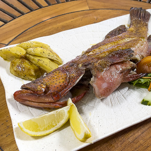 PalmBeach Tropical Restaurant | Grilled Fresh Fish | grilled fresh fish of the day, with baked potatoes